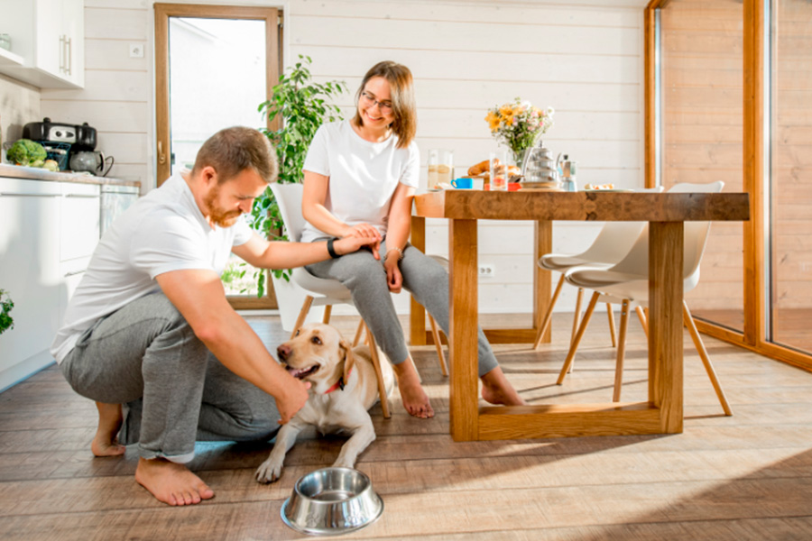 Pareja en casa junto con su perro